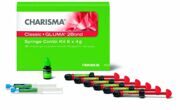 Харизма Классик набор Charisma CLASSIC Syr Assortment (6 х 4г) Heraeus-Kulzer Германия / CHARISMA CLASSIC SYR COMBI KIT 6X4 г+ Gluma2Bond